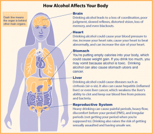 Why do Alcoholics have Red Noses? - KnowsWhy.com