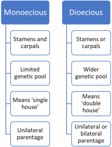 Difference Between Monoecious And Dioecious - KnowsWhy.com