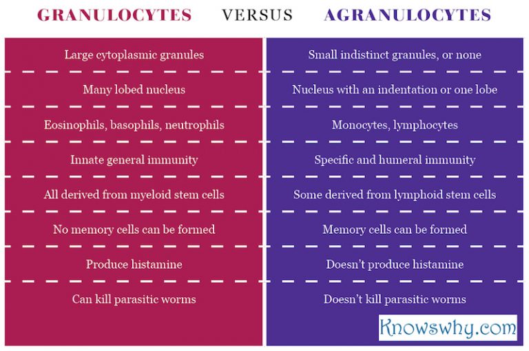 schottky-defect-versus-frenkel-defect-knowswhy