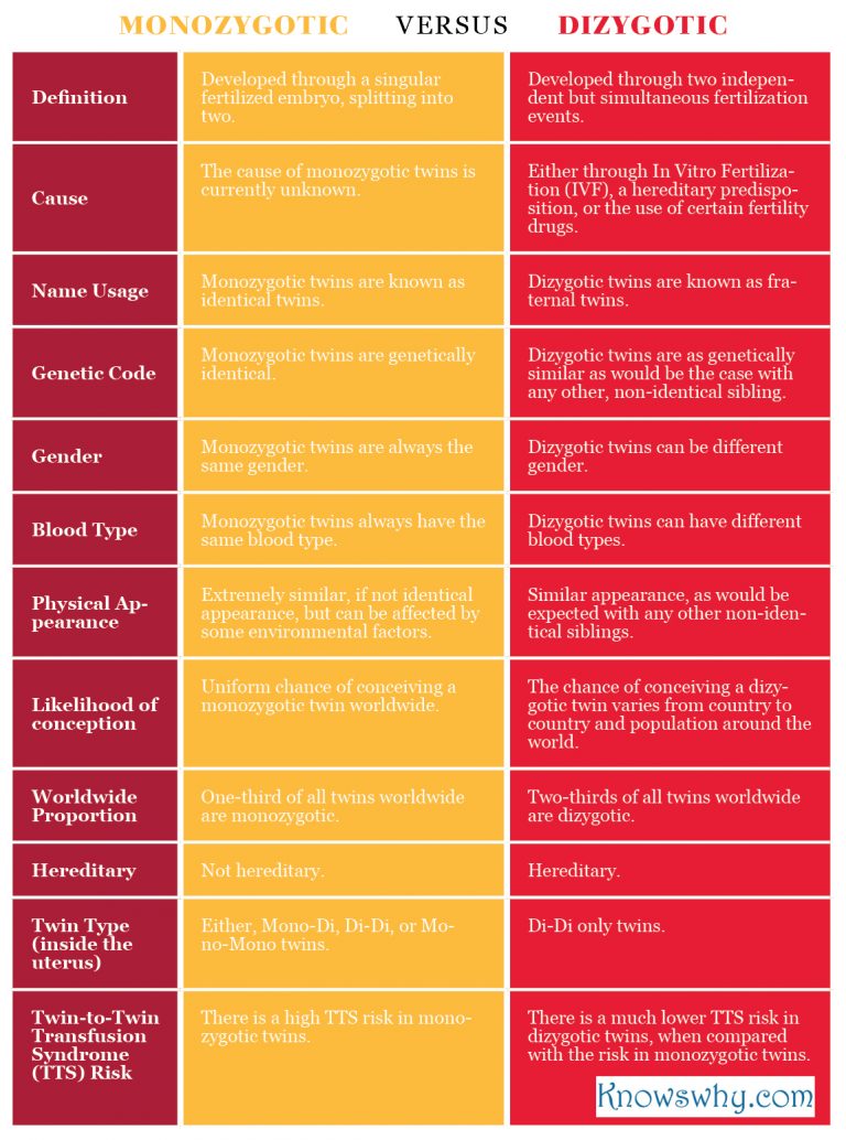 Difference between Monozygotic and Dizygotic Twins - KnowsWhy.com
