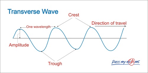 Similarities Between Transverse And Longitudinal Wave KnowsWhy